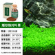 瘋狂水草（FKSC）魚缸造景水草種子水族箱裝飾前景草迷你小對(duì)葉草坪活體真水草 小對(duì)葉種子 適合新手養(yǎng)殖無需CO2