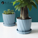 九千谷花盆創(chuàng  )意歐式簡(jiǎn)約藍色小號2個(gè)裝多肉植物簡(jiǎn)約塑料花盆帶托盤(pán)4245