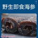 深海大烏參新鮮速凍即食野生海參免泡發(fā) 400g 嘗試裝