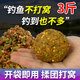 盈龍 打窩料野釣鯽魚發(fā)酵玉米顆粒鯉魚釣魚底窩料 底窩料（五谷發(fā)酵）3斤