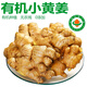 【順豐】云南小黃姜 有機(jī)生姜 沙地老姜水洗月子姜 調(diào)味有機(jī)蔬菜 【有機(jī)小黃姜】1000g