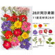 佳茉透明干花書(shū)簽手工diy材料包標(biāo)本pvc塑封膜創(chuàng)意植物樹(shù)葉壓花瓶子吊瓶小學(xué)生壓花瓣玻璃畢業(yè)季送同學(xué)