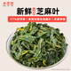 鄉(xiāng)芝戀 新鮮芝麻葉 河南特產(chǎn)真空包裝濕芝麻葉新貨新鮮蔬菜嫩芽葉 鮮芝麻葉150g*3袋