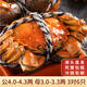 【活蟹】水淼鮮 洪湖大閘蟹鮮活螃蟹生鮮現(xiàn)貨海鮮水產(chǎn)年貨禮品 公4.0-4.3兩 母3.0-3.3兩 3對(duì)6只