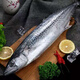 鮮源瀾灣 青島大鲅魚(yú)3-20斤大鲅魚(yú)馬鮫魚(yú)新鮮海鮮水產(chǎn)冷凍1條過(guò)節鲅魚(yú)禮盒 6斤以上整條