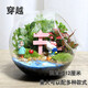 農民老史 桌面植物 微景觀(guān) 創(chuàng  )意植物 迷你盆栽 DIY植物 苔蘚生態(tài)瓶 穿越(12cm斜口)