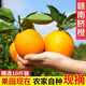 橙小東江西正宗贛南臍橙應季新鮮水果手剝橙子果園現摘春節送禮年貨禮盒 10斤75-85mm（力薦優(yōu)質(zhì)大果）