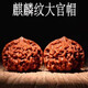 DL 1998胖東來(lái)品質(zhì)文玩核桃麒麟紋官帽四座樓白獅子磨盤(pán)蘋(píng)果園南疆石獅虎 麒麟紋官帽45mm一對【機刷】