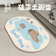 閃墊硅藻泥地墊卡皮巴拉卡通吸水速干腳墊防滑衛(wèi)生間門口墊子60*39cm