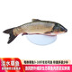品鮮肴淡水魚生態(tài)草魚草混子青魚漁民自然捕獲整條魚鮮活魚現(xiàn)殺生鮮水產(chǎn) 凈膛后2.4kg/條【6斤活魚現(xiàn)殺】