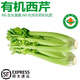 諸氏橙品【有機(jī)】西芹 可榨汁芹菜 生食沙拉食材炒菜百搭新鮮有機(jī)葉菜 有機(jī)西芹2.25KG-家庭惠享