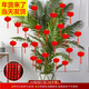 相思桐植絨小燈籠福字掛件蛇年2025新年裝飾品元旦盆景發(fā)財(cái)樹(shù)上春節(jié)客廳 4#小燈籠(30個(gè)裝)（直徑約3.8CM)