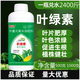 葉綠素葉面肥黃葉一噴轉綠通用綠葉大蒜蔬菜果樹(shù)含氨基酸水溶肥料 葉綠素1000克