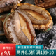 海鮮頌 活凍大鮑魚 鮮活速凍海鮮水產(chǎn) 生鮮冷凍鮑魚撈飯 貝類 火鍋食材 500g (約8只)