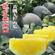 黑皮黃瓤西瓜種子 無籽昌蜜4號超甜黃心西瓜種籽孑 早熟高產(chǎn)大果 昌蜜4號50粒