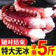 共雅新鮮魷魚須5斤冷凍水產(chǎn)深海鮮八爪魚腳大章魚足火鍋配菜半斤 大魷魚須 1500g