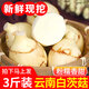 中鮮生云南新鮮白茨菇現(xiàn)挖慈姑大果 時令生鮮蔬菜 3斤裝（大果）