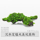森淵（SENYUAN）魚(yú)缸沉木造景莫斯水草散裝莫絲陰性活體植物火焰大三角鹿角苔垂淚 湖藍色 沉木美鳳15-25cm