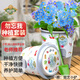 德沃多肥料勿忘我種子DIY兒童趣味種植盆栽套裝學(xué)生植物觀察杯六一兒童節(jié)
