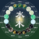 贏夫人（Mrs win）補(bǔ)五行手鏈男女水晶手串黃財(cái)神多寶送朋友禮物  10mm補(bǔ)水木-五行手串  A22-105