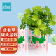 IAM City Farmer含羞草罐頭 綠植花卉盆栽種子diy兒童種植小盆栽種植作業(yè)10065