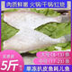 扒皮魚海鮮新鮮馬面魚單凍大號中號耗兒魚1包5斤火鍋食材 扒皮魚大號整包5斤7-11條