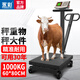 永彩稱(chēng)重電子秤商用輪子秤家用落地大型臺秤手推滾輪精準電子稱(chēng)可折疊電子稱(chēng)豬秤工業(yè)物流地磅秤 1000公斤【特厚粗支架60*80帶拉桿】輪子秤