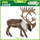 COLLECTA英國CollectA我你他仿真野生動(dòng)物森林草原模型認知88709北美馴鹿