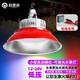 歐思韻新款12V24V36V生鮮水果燈led照明燈電瓶車擺攤夜市調(diào)光調(diào)色水果燈 100W帶罩12-85V帶夾子+3米線