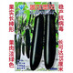 蓋世墨茄種子抗病黑茄子紫黑長(cháng)茄種孑春秋季農家陽(yáng)臺庭院蔬菜種籽 蓋世墨茄【8克約2000?！? title=