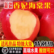新疆雞心小蘋(píng)果順豐禮盒可選香妃海棠果阿克蘇脆甜水果新鮮當季LL 1斤【單果3.5cm+】順豐快遞