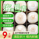 海南椰青新鮮當季去皮香水椰青椰子椰汁孕婦新鮮水果9個(gè)裝禮盒裝 6個(gè)
