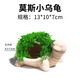 瘋狂水草（FKSC）莫斯水草活體植物魚缸造景底部前景套餐懶人陰性莫斯樹沉木水榕 莫斯小烏龜