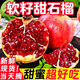顧果鮮突尼斯軟籽石榴當季新鮮孕婦水果紅寶石四川會(huì )理石榴中秋送禮 9斤特大果丨單果350g+凈量8.5斤