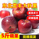 辰實(shí)【發(fā)順豐】東北雞心海棠果 沙果龍豐果 東北特產(chǎn)小蘋(píng)果新鮮 5斤龍豐果（推薦）