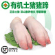 褚系嚴(yán)選【有機豬蹄】豬肉黑豬蹄肉 帶筋豬腳 前后蹄烤肉生鮮食材年貨送禮 有機黑豬蹄 500g 1袋