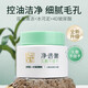 百雀羚（PECHOIN）清潔泥膜 水嫩柔滑精華泥膜 細(xì)膩毛孔控油潔凈深層保濕護(hù)膚品女 水嫩柔滑精華泥膜110g