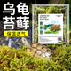 寵小帥天然干苔蘚過冬眠透氣保濕烏龜飼養(yǎng)箱造景盆栽營養(yǎng)土鋪面爬寵墊材 精選干苔蘚100g【少量試用】