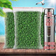 衫凌正宗鐵觀音2025春茶濃香型茶葉高山茶散裝茶葉批發(fā) 袋裝配800保溫杯500克