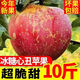 冰糖心丑蘋果 10斤 新鮮水果應(yīng)季紅富士當(dāng)季吃脆甜整箱批發(fā)丑蘋果 丑蘋果-帶箱9-10斤-中果