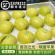 陜西瑞雪蘋(píng)果新鮮當季現摘孕婦5斤水果玫瑰香青蘋(píng)果脆甜白水蘋(píng)果R 3斤【帶箱嘗鮮裝】