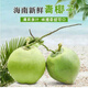 京生鮮 海南當(dāng)季海南帶皮青嫩椰子現(xiàn)摘現(xiàn)發(fā)孕婦補(bǔ)羊水單果4斤左右 帶皮青椰子單果3-5斤（十個(gè)裝）