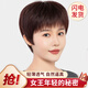 艾妮婭假發(fā)女自然全頭套短直發(fā)中老年假發(fā)女短發(fā)真人發(fā)絲整頂發(fā)套透氣款 自然黑 短發(fā) 【進(jìn)口高溫絲】均碼