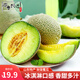 魯禧山東玫瓏蜜瓜 網(wǎng)紋密瓜冰淇淋口感 當(dāng)季鮮鮮水果網(wǎng)紋蜜瓜新鮮香甜 網(wǎng)紋瓜  凈重2.5-3斤（1-2個）