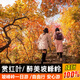 【京東總部集合往返】北京坡峰嶺1日游/遇見(jiàn)紅葉季&登山賞紅葉/純玩無(wú)購物 【坡峰嶺門(mén)票+往返車(chē)】11.8京東總部出發(fā) 成人