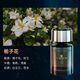 霍約斯德國香薰車載氣氛科智能噴霧朗曼車內(nèi)香水?dāng)[件浪漫清香機 科朗曼 梔子花 嬰孕可用