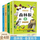 森林報春夏秋冬全4冊思維導圖注音版 小學(xué)生一二三年級課外閱讀書(shū)籍兒童文學(xué)世界經(jīng)典名著(zhù)帶拼音科普故事書(shū)籍
