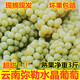 夢(mèng)茜兒順豐 云南彌勒水晶葡萄 新鮮5斤現摘水果當季農家自種凈重特產(chǎn) 5斤 A級水晶葡萄