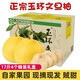 御香梅 玉環(huán)大文旦柚子浙江臺州楚門(mén)新鮮水果文旦柚子當季白心時(shí)令 柚子 16斤【4個(gè)禮盒裝】送禮
