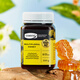 康維他（Comvita）新西蘭進口多花蜂蜜500gx1禮品送父母長輩生日禮物中秋節(jié)日禮品